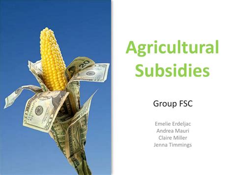 The Challenges of Farm Subsidies